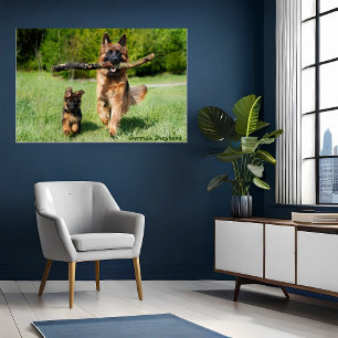 Affiche de Mère et chiot Berger Allemand en course