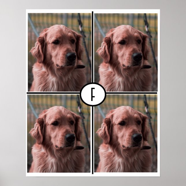 Affiche de monogramme photo Ajoutez vos propres im (Devant)