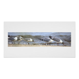 Affiche de Mouettes au Rivage