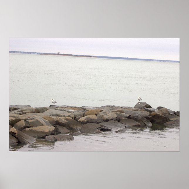 Affiche de mouettes sur des rochers (Devant)