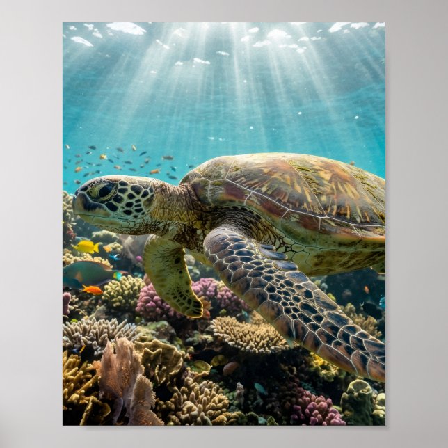Affiche de mur de récif corallien de tortue marine (Devant)