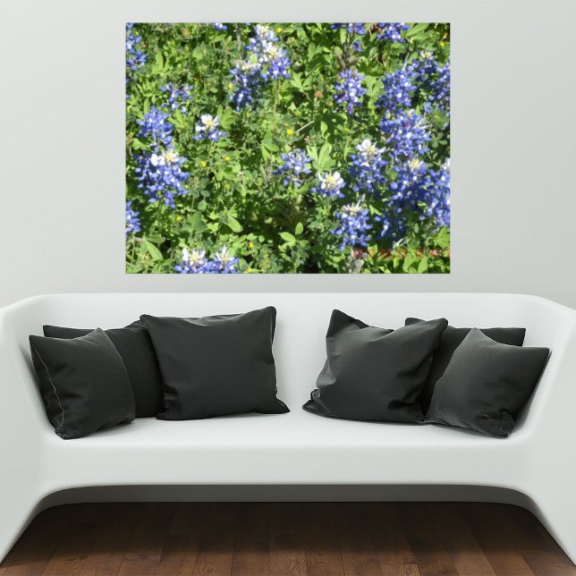Affiche de mur de Texas Bluebonnet vibrant (Créateur téléchargé)