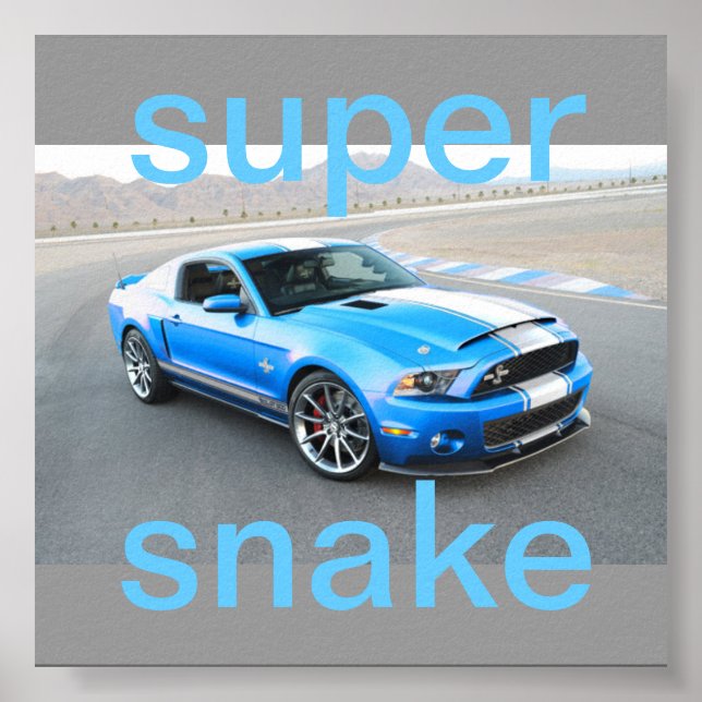 affiche de mustang (Devant)