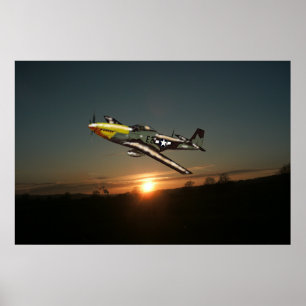Affiche de Mustang P51