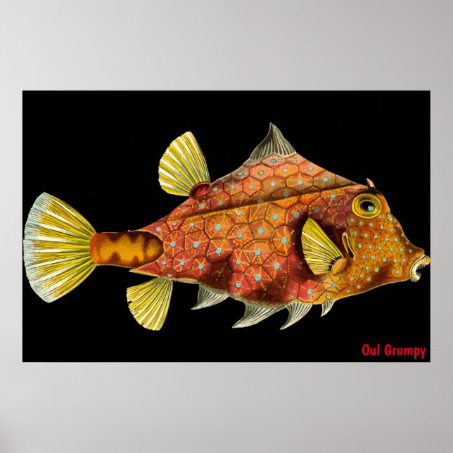 Affiche de Oul Grumpy (Devant)