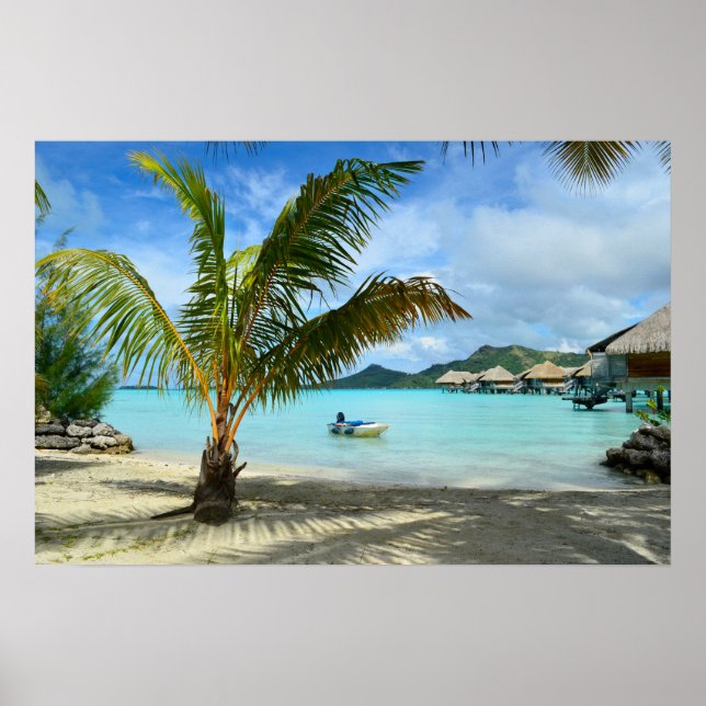 Affiche de palmier et de resort sur l'eau (Devant)
