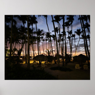 Affiche de palmiers et de coucher de soleil
