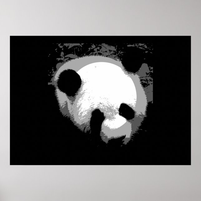 Affiche de Panda - Impression de Poster de Panda (Devant)