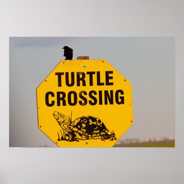 Affiche de panneau de signalisation de traversée d (Devant)
