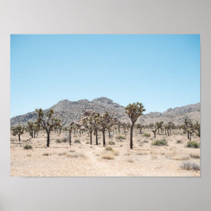 Affiche de papier du parc Joshua Tree (Semi-Brilla
