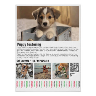 Affiche de parrainage de chiots