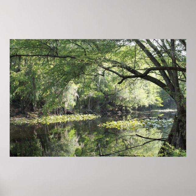 Affiche de partie Cypress River A -60x40 -ou plus  (Devant)