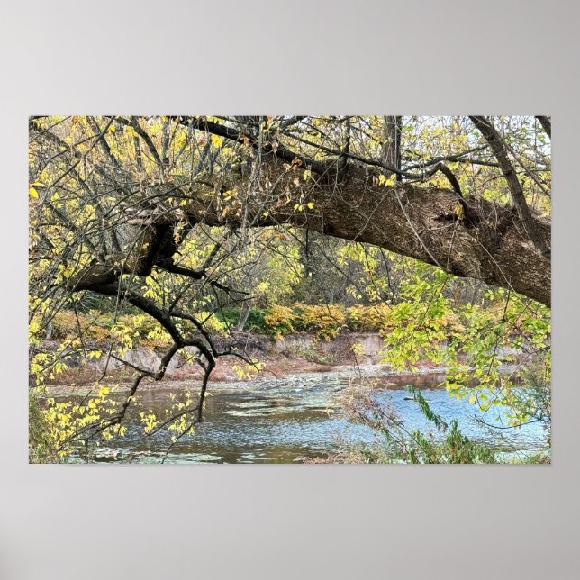 Affiche de paysage d'automne aquatique (Devant)