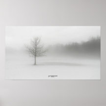 Affiche de paysage de l'hiver Foggy Monochrome