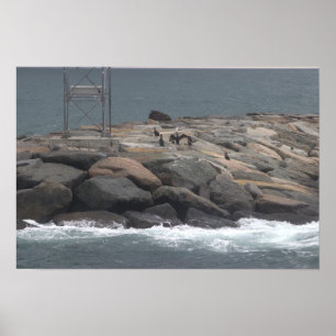 Affiche de paysage océanique avec rochers et oisea
