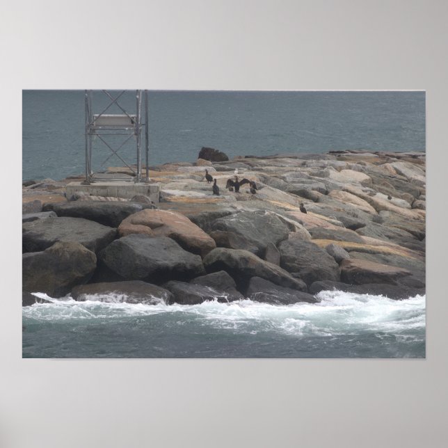 Affiche de paysage océanique avec rochers et oisea (Devant)