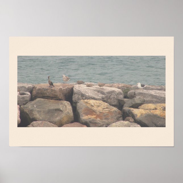 Affiche de paysage océanique avec rochers et oisea (Devant)