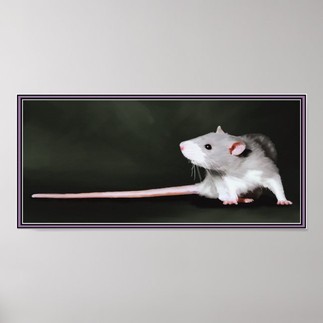 Affiche de peinture de rat mignon (Devant)