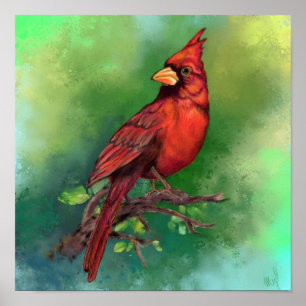 Affiche de peinture d'oiseau cardinal rouge du Nor