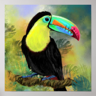 Affiche de peinture d'oiseau Toucan Toco
