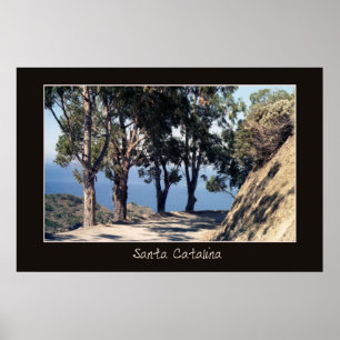 Affiche de Père Noël Catalina