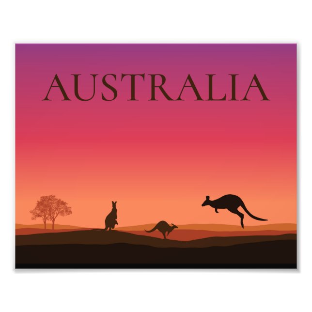 Affiche de photo d'Australie Kangourous (Devant)