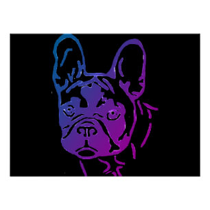 Affiche de photo de Bouledogue Français