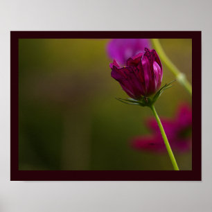 Affiche de photo de fleur
