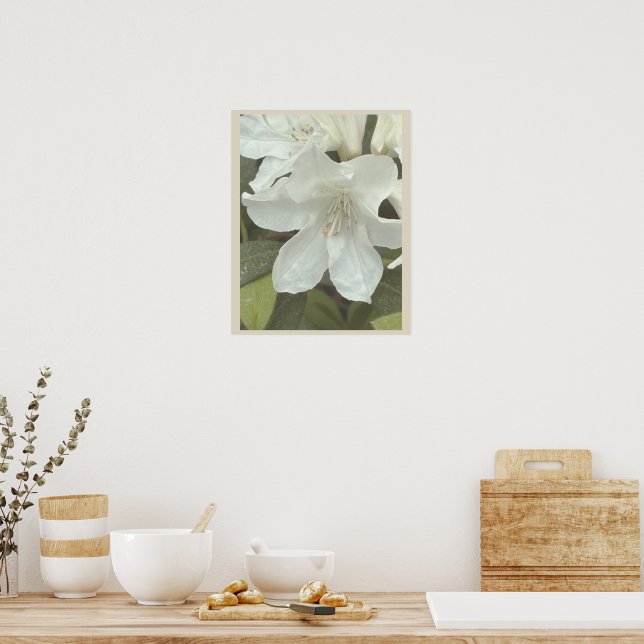 Affiche de photo de fleurs blanches (Cuisine)