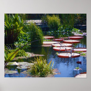 Affiche de photo de jardin d'eau