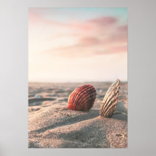 Affiche de photographie de coquillage de mer de pl