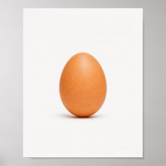 Affiche de photographie d'œuf brun minimaliste