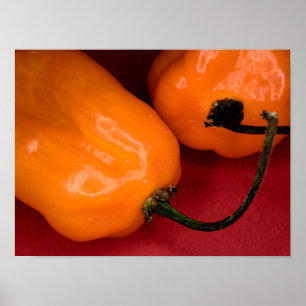 Affiche de piments habanero piquants