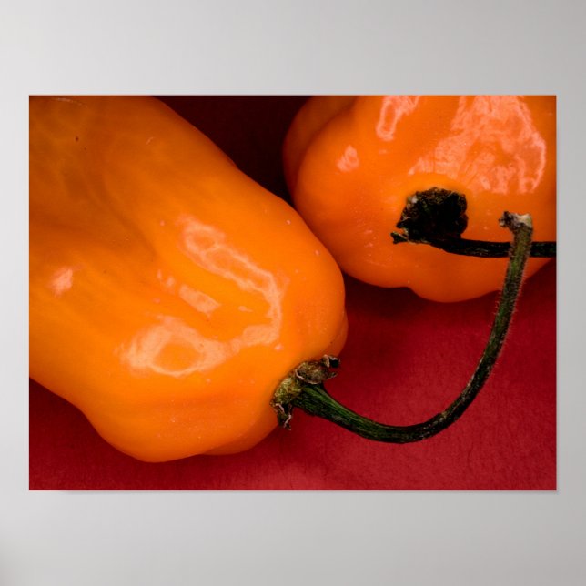 Affiche de piments habanero piquants (Devant)