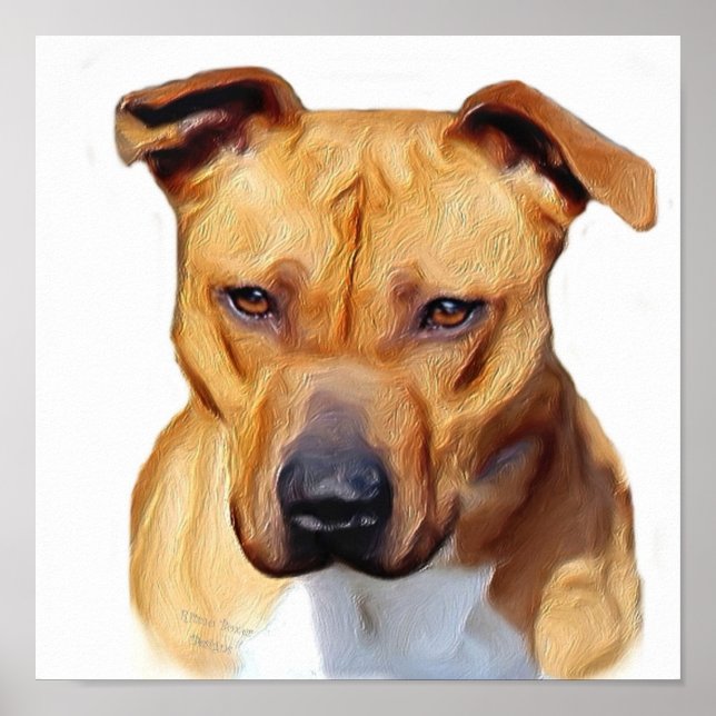 Affiche de Pitbull (Devant)