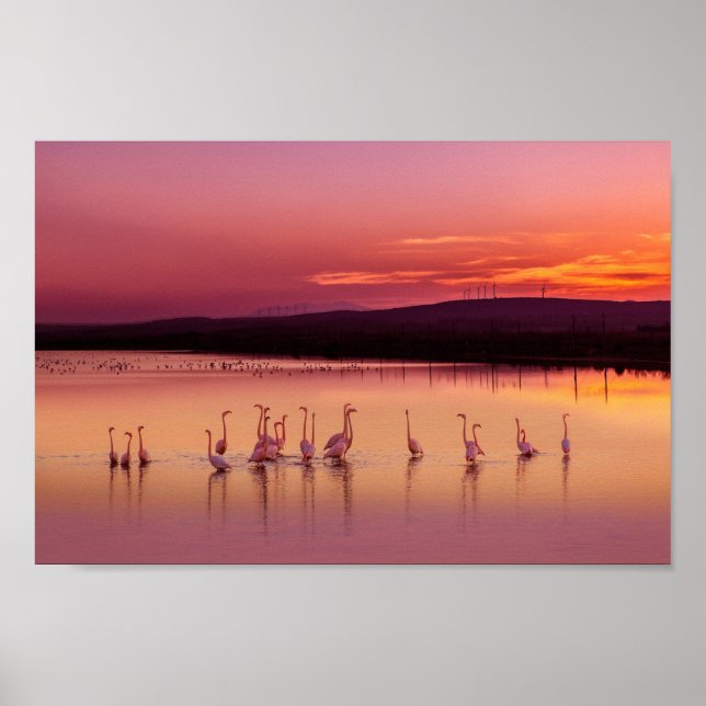 Affiche de plage (Devant)