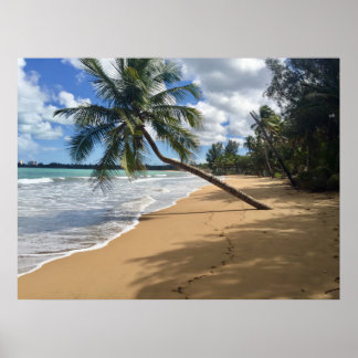affiche de plage