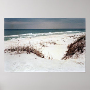 Affiche de plage de Panhandle