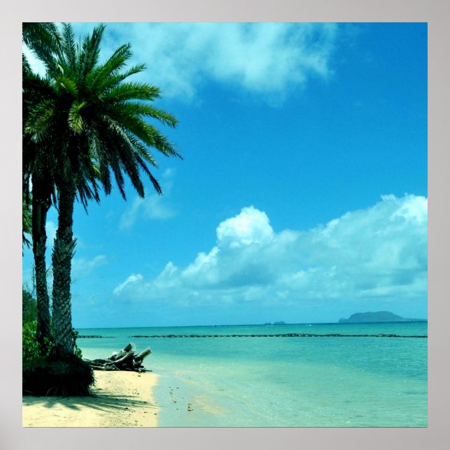 Affiche de plage Pittoresque Tropical Hawaii (Devant)