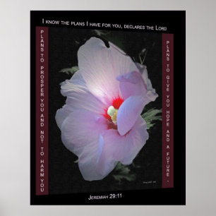 Affiche de plans