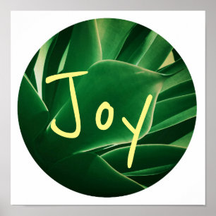 Affiche de plante succulente verte élégante Joie