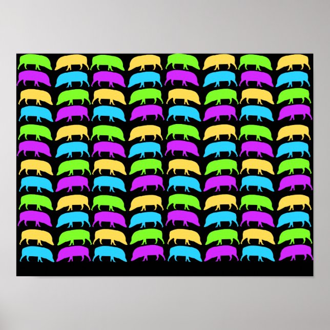 Affiche de porcs multicolores (Devant)
