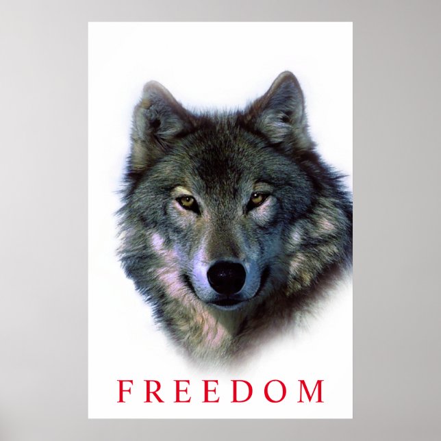 Affiche de porte unique du loup de la liberté moti (Devant)