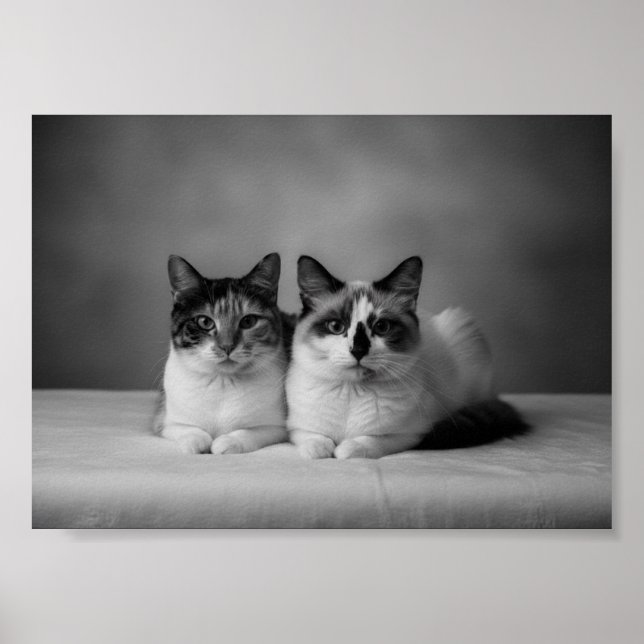 Affiche de portrait de animal de compagnie personn (Devant)