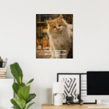Affiche de portrait de chat personnalisé - Impress