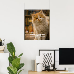 Affiche de portrait de chat personnalisé - Impress
