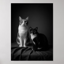 Affiche de portrait de compagnie en noir et blanc