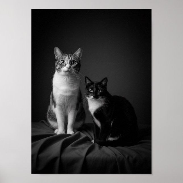Affiche de portrait de compagnie en noir et blanc  (Devant)