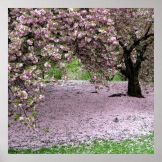 affiche de printemps de fleurs de cerisier DE 8.99