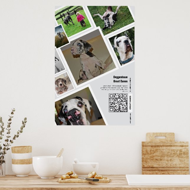 Affiche de promotion d'un élevage de Dogues Allema (Cuisine)